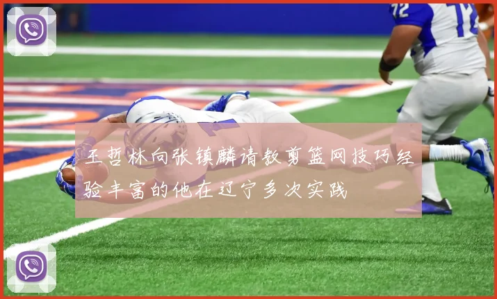 王哲林向张镇麟请教剪篮网技巧经验丰富的他在辽宁多次实践