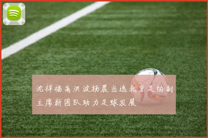 沈祥福高洪波杨晨当选北京足协副主席新团队助力足球发展